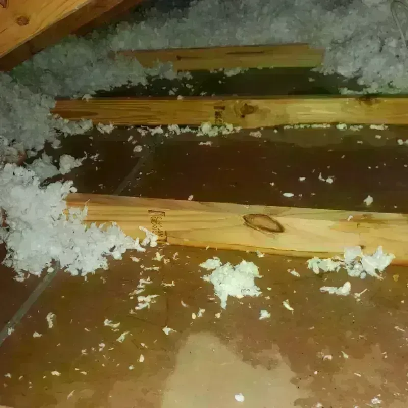 Attic Water Damage in Ulysses, KS